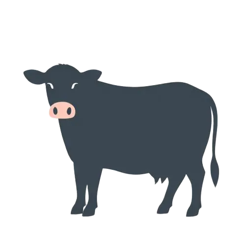 Dairy
