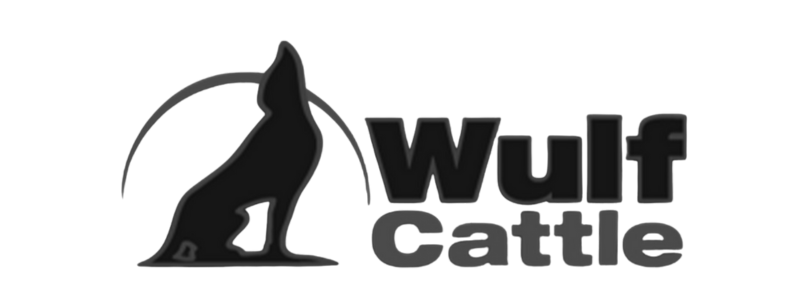 Wulf Cattle
